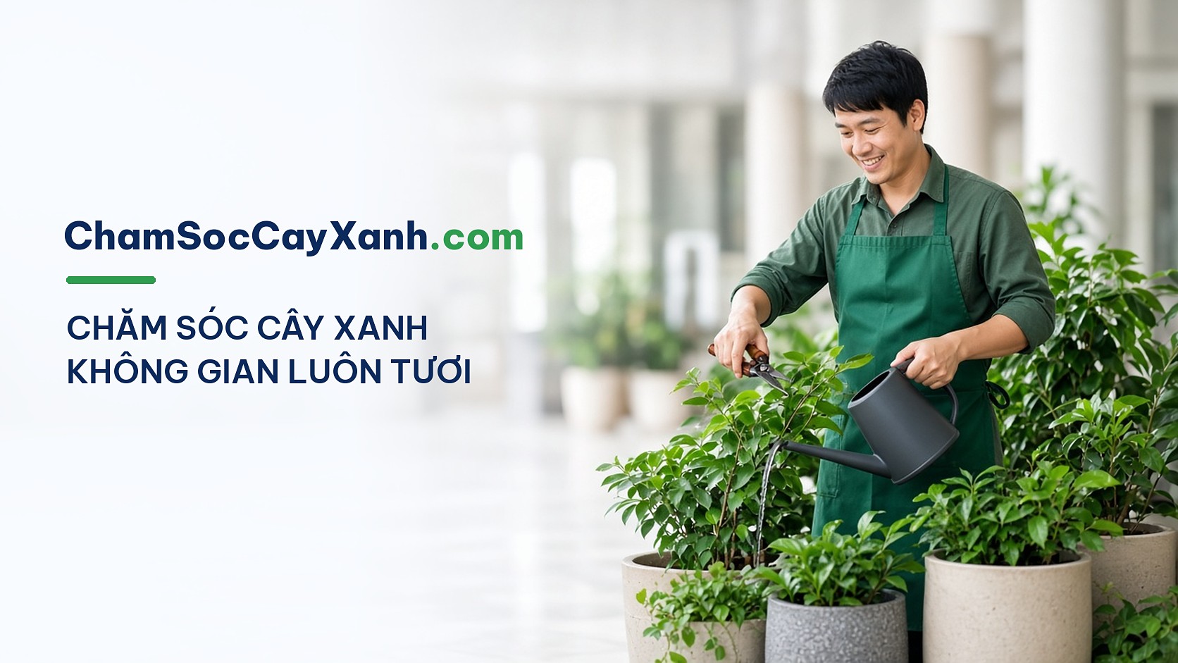 ChamSocCayXanh.com
