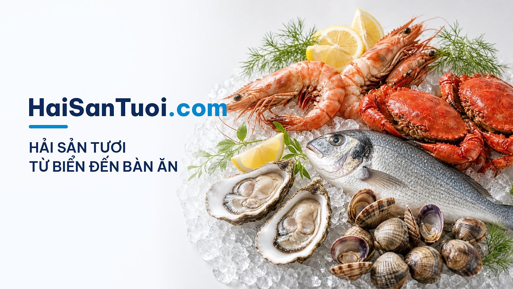 HaiSanTuoi.com