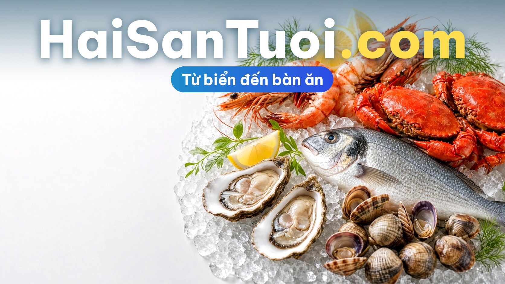 HaiSanTuoi.com