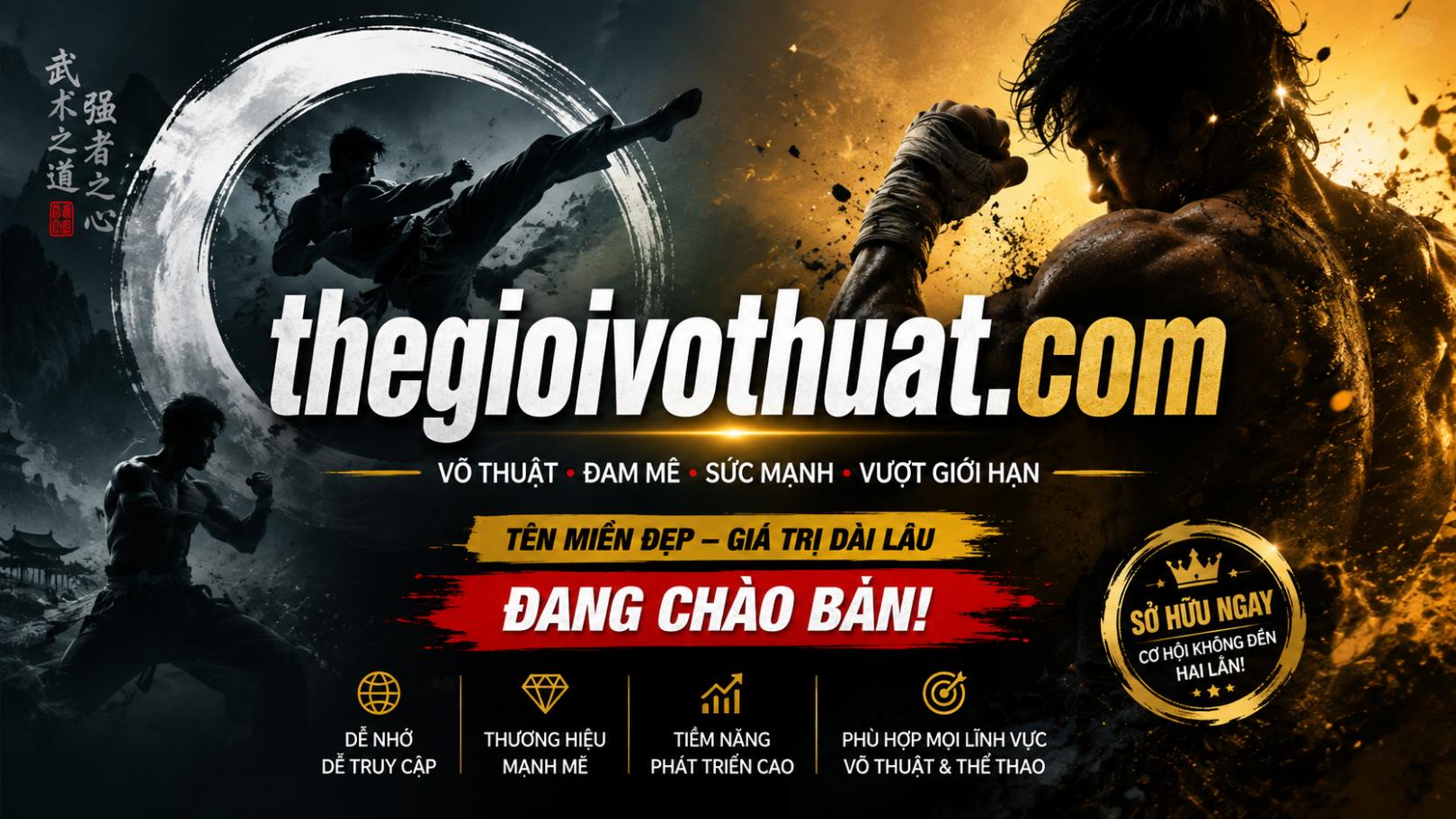 TheGioiVoThuat.com